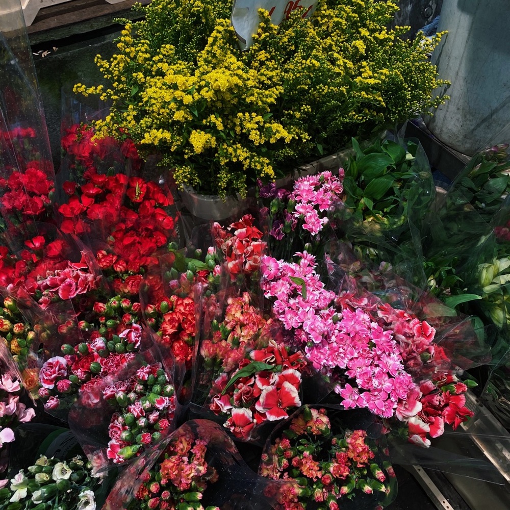 Meet your Posher, Rose